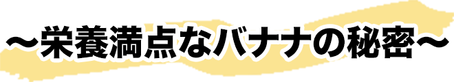 栄養満点なバナナの秘密